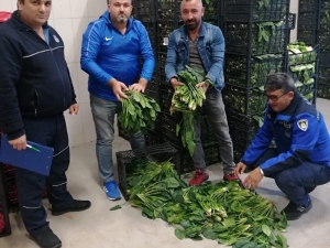 Zabıtadan Sebze Ve Meyve Halinde Sıkı Denetim