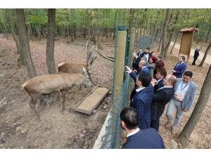 Kuzey Makedonyalı Belediye Başkanları Kocaeli’ye Hayran Kaldı