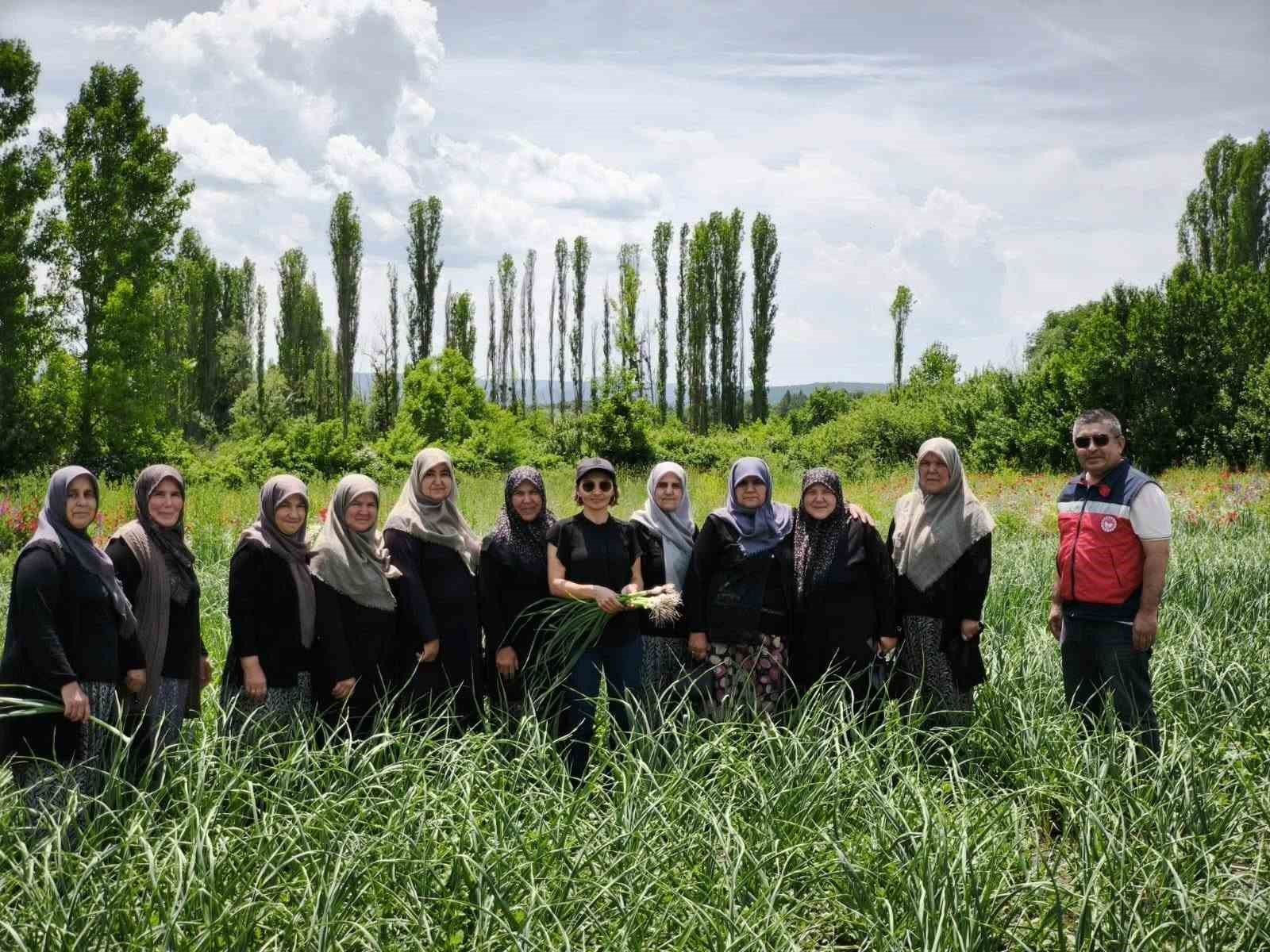 domanic-sarimsagi-cografi-isaret-yolunda