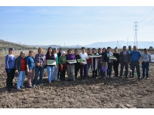 Aliağalı Üretici Kadın Çiftçiler Tarlaya İndi