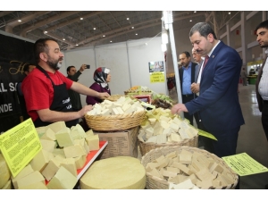 Baydilli Göbeklitepe Fuarı’nı Gezdi