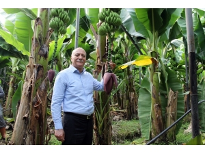 Tzob Genel Başkanı Bayraktar, Antalya’da