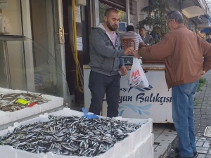 Hamsi Fiyatı Karadeniz’de 7 Tl’ye Düştü