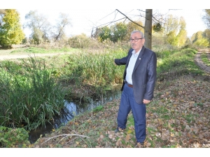 Balaban Çayı’na İlk Neşter