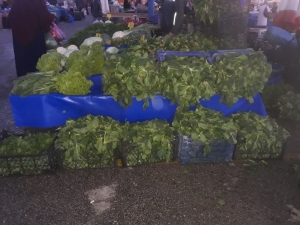 Tonlarca Ispanak Çöpe Gidiyor