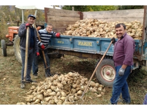 Simav’da Şeker Pancarı Üretimi Durma Noktasına Geldi