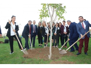 Manolya Kokulu Şehir Samsun