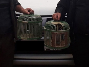 Isparta’da Canlı Mühre Ve Tuzaklı Keklik Avına 3 Bin 304 Lira Ceza