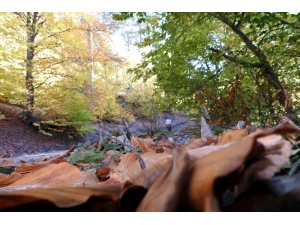 Sonbaharın Renkleri Demirci’de Görsel Şölene Döndü