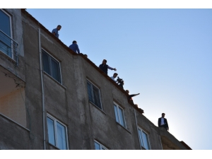 Tbmm Araştırma Komisyonu Üyeleri Rabia Naz Vatan’ın Şüpheli Ölümünü Araştırmak İçin Giresun’a Geldi