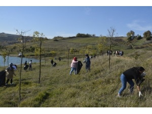 Üniversiteli Öğrencileri Çevre Temizliği Yaptı