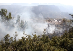 Seydikemer’de Anız Yangını Ormana Sıçradı