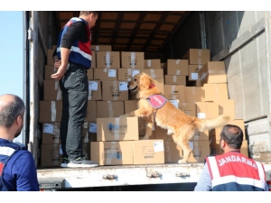 İzmir’de Huzur Operasyonu