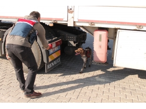 Tosya D-100 Karayolunda Huzur Operasyonu