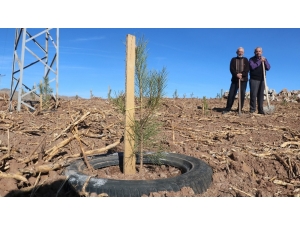 Ot Bitmeyen Yeri Taşıma Toprakla Ormana Dönüştürdü