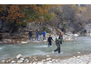 Gençler Ve Ekipler Seferber Oldu, Tüm Çabaya Rağmen Yaban Keçisi Kurtarılamadı