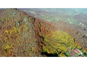 Nebiyan’da Doyumsuz ‘Hazan’