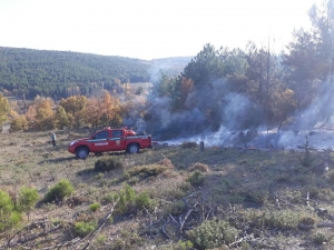 Ormanlık Alanda Yangın