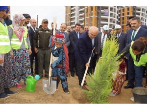 Aydın’da 100 Bin Fidan Toprakla Buluştu