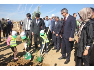 Bingöl’de 65 Bin Fidan Toprakla Buluştu