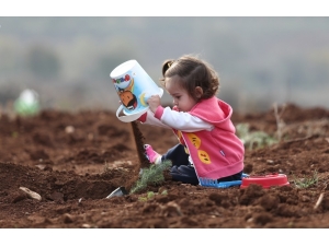 Bursa’da 236 Bin Fidan Toprakla Buluştu