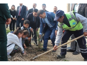 Tekirdağ Da Fidan Dikme Seferberliğine Destek Verdi