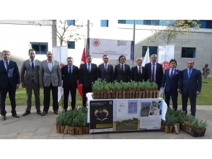 Anadolu Adalet Sarayı’nda 500 Fidan Toprakla Buluştu