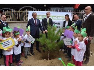 Koçarlı’da Milli Ağaçlandırma Günü Etkinliği