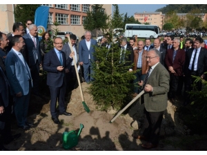 Ordu’da 103 Bin 300 Fidan Toprakla Buluştu