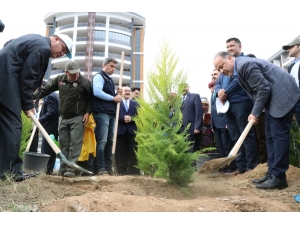 Ak Partili Yavuz, Aydın’daki Fidan Dikme Seferberliğine Katıldı