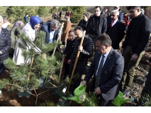 Gümüşhane’de 70 Bin Fidan Toprakla Buluştu
