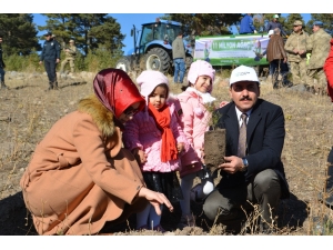 Sarıkamış’ta 700 Kişilik Ekiple 9 Bin Fidan Dikildi