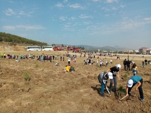 Hatay’da 104 Bin Fidan Toprakla Buluştu