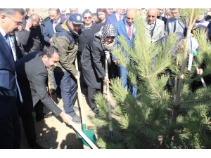 Elazığ’da 250 Bin Fidan Toprakla Buluştu