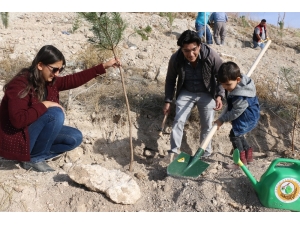 Kırka’da 25 Bin Fidan Toprakla Buluştu