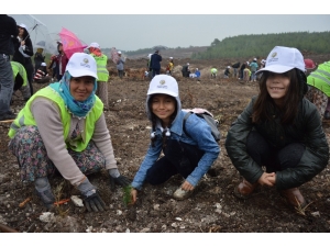 Manisa İlçelerinde Fidan Seferberliği