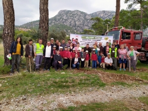 Ağaç Katliamının Yaşandığı Akbük’te Fidan Dikimi