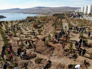 Tunceli’de 230 Bin Fidan Toprakla Buluştu