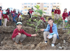 Himalayalar’dan Trabzon’a