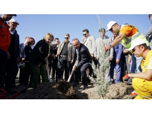 Siirt’te 123 Bin Fidan Toprakla Buluştu