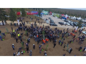 Balıkesir’de Fidanlar Toprak İle Buluştu