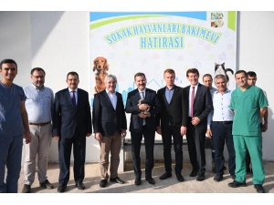 Can Dostlarımız Güvende