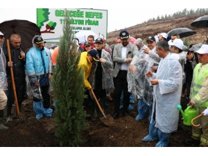 Manisa En Çok Fidan Sahiplenmeyle Türkiye 1.’si Oldu