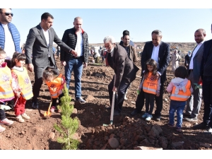 Siverek’te 10 Bin Fidan Toprakla Buluştu