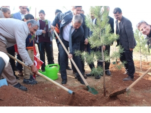 Şahinbey’de 11 Bin Fidan Toprakla Buluşturuldu