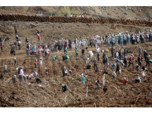 Fethiye’de 10 Bin 300 Fidan Toprakla Buluştu