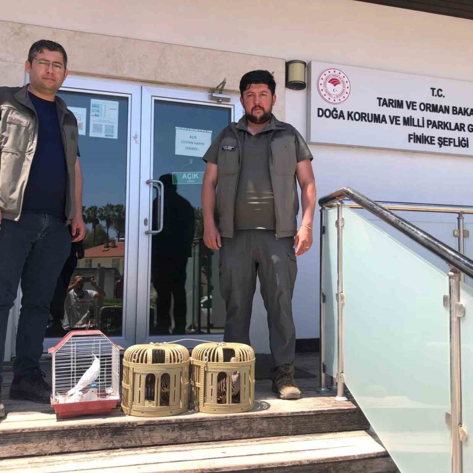 kus-denetiminde-kafeslerdeki-keklik-ve-papaganlara-el-konuldu