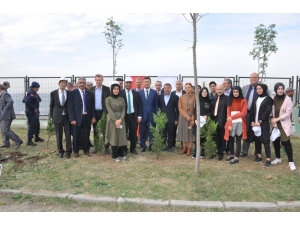 Dilovası’nda 8 Bin Fidan Toprakla Buluştu
