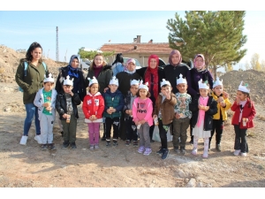 Gemerek’te 30 Bin Fidan Toprakla Buluştu