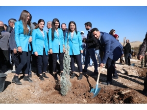 Mardin’de 243 Bin Fidan Toprakla Buluştu